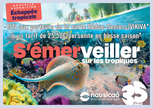 nausicaa senior